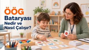 ÖÖG Bataryası Nedir ve Nasıl Çalışır?